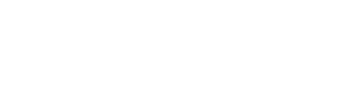 Comercializadora de vehículos AE Capital Humano